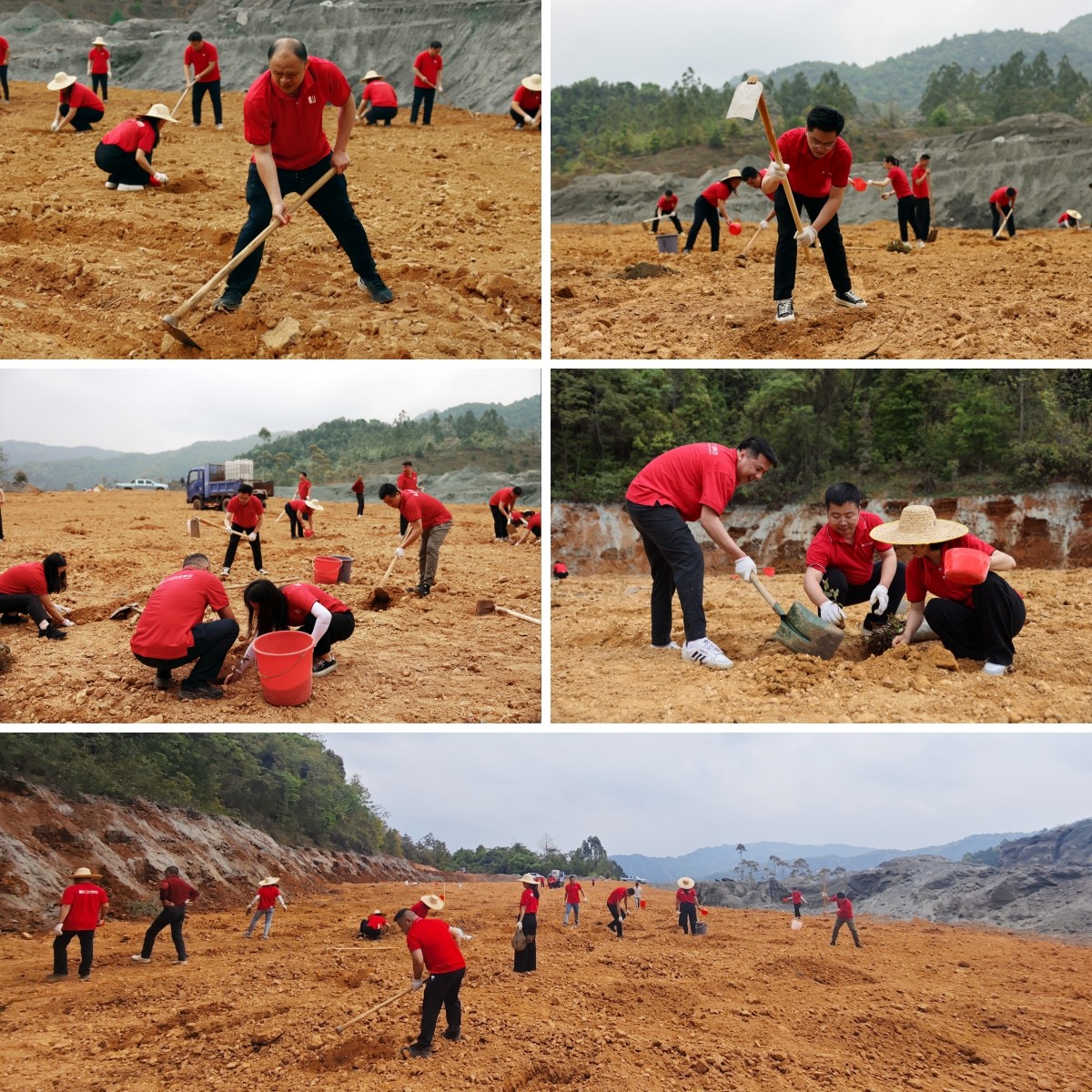 1775554526959993.jpg 圖片關鍵詞